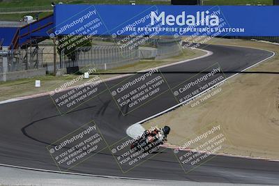 media/Mar-17-2024-Fastrack Riders (Sun) [[c7d6f8c14c]]/Level 3/Turn 5/